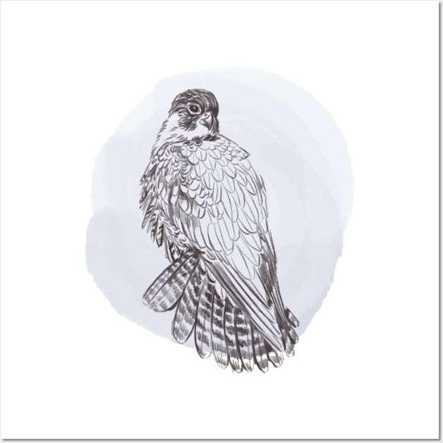 Hand drawn illustration of peregrine forest bird Wall Art by Lshvsk